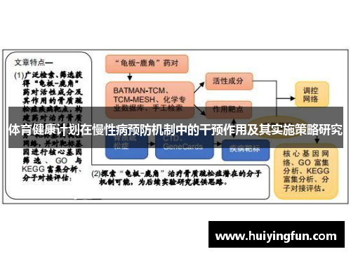 体育健康计划在慢性病预防机制中的干预作用及其实施策略研究
